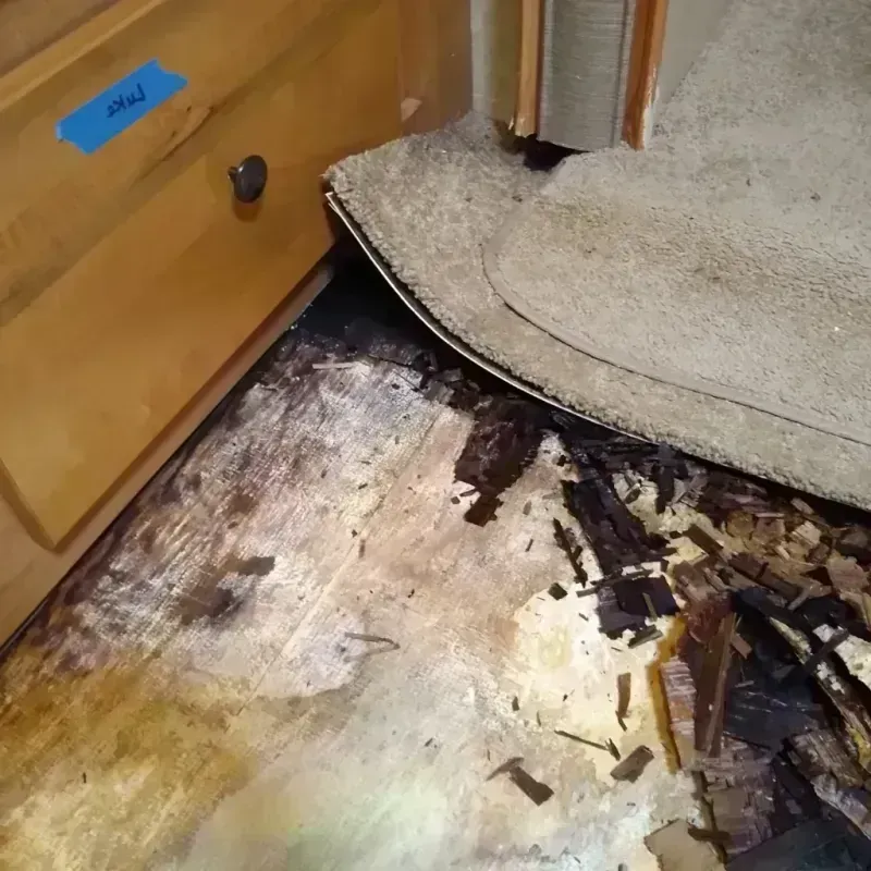 Wood Floor Water Damage in Dallas, TX